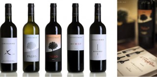 A CENA DAL PRODUTTORE – 21 OTTOBRE CINZIA MERLI A LE MACCHIOLE