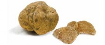 la tenda rossa - tartufo 4