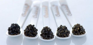 19 ottobre Menù al Caviale Calvisius