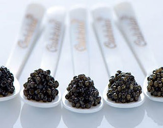 Menù al Caviale Calvisius