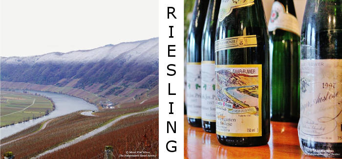 RIESLING TEDESCHI – giovedì 4 maggio