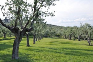 la tenda rossa - pasquetta 2