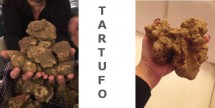 la tenda rossa - tartufo 13 settembre
