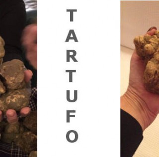 Menù al TARTUFO BIANCO