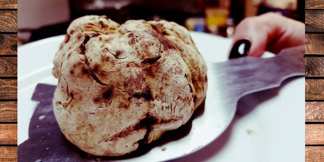 Menù al TARTUFO BIANCO